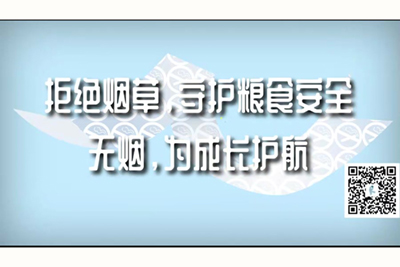 抽插BB在线视频拒绝烟草，守护粮食安全